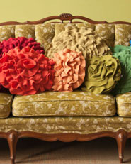 Color Rose Pillows
